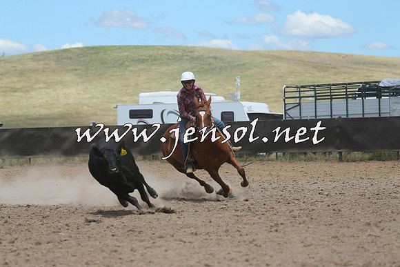 AdaminabyCampdraft2014_1069