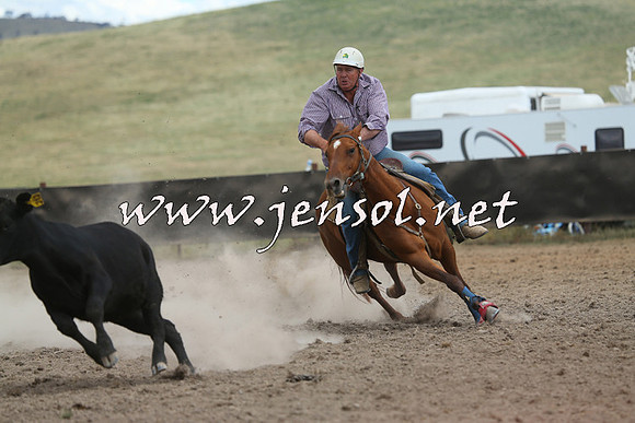 AdaminabyCampdraft2014_1170