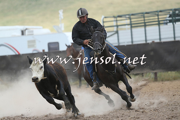 AdaminabyCampdraft2014_1149