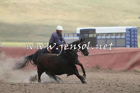 AdaminabyCampdraft2014_1141