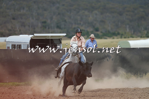 AdaminabyCampdraft2014_1168