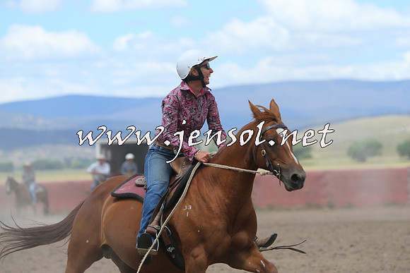 AdaminabyCampdraft2014_1090