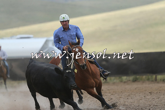AdaminabyCampdraft2014_1128