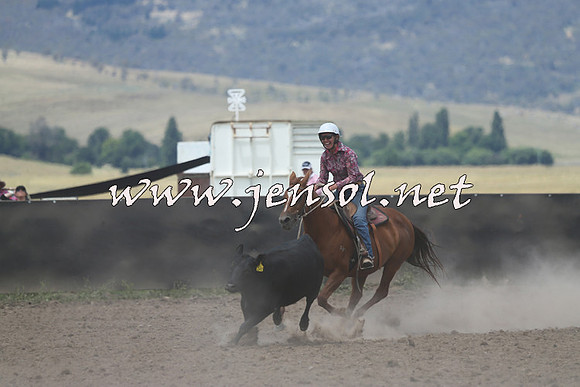 AdaminabyCampdraft2014_1081