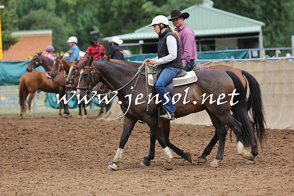 TaralgaCampdraftSun_0970