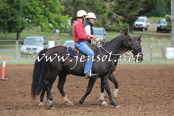 TaralgaCampdraftSun_0953