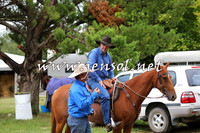 TaralgaCampdraftSat_0054