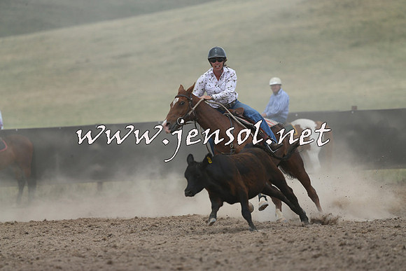 AdaminabyCampdraft2014_1115