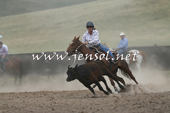AdaminabyCampdraft2014_1117