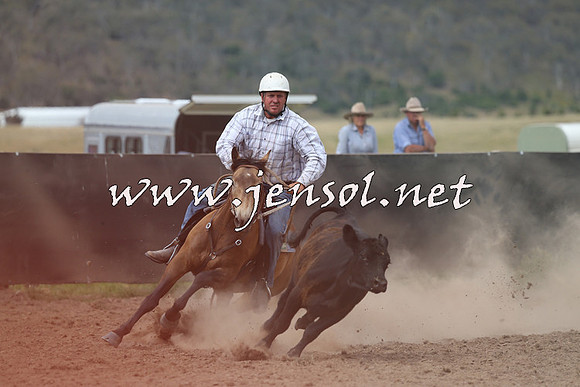 AdaminabyCampdraft2014_1188