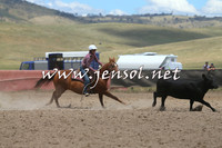 AdaminabyCampdraft2014_1068