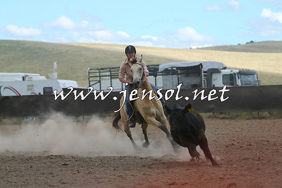 AdaminabyCampdraft2014_1137