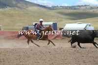 AdaminabyCampdraft2014_1067