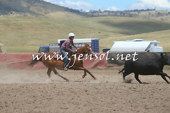 AdaminabyCampdraft2014_1067