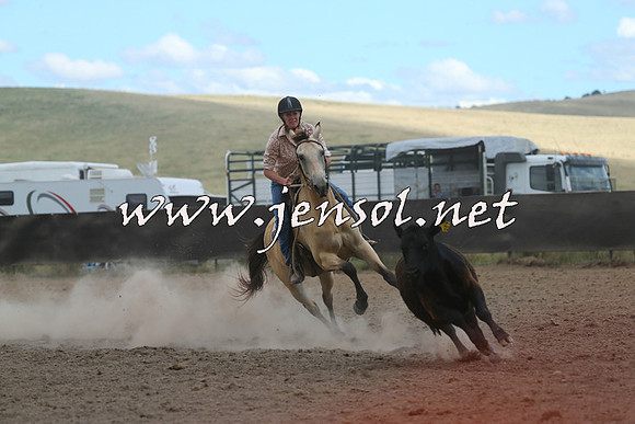 AdaminabyCampdraft2014_1135