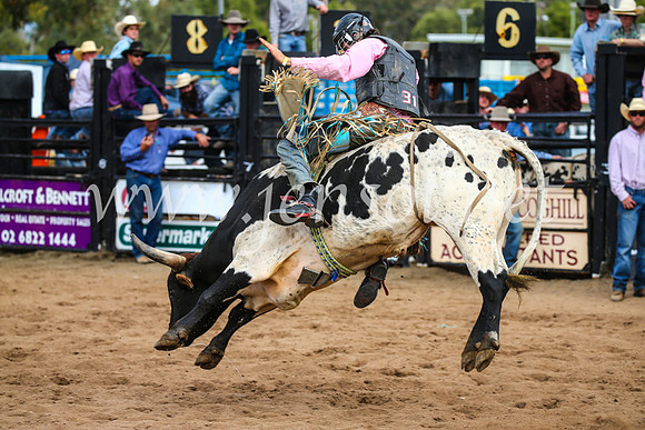 CoonambleRodeoCampdraftSun_2852