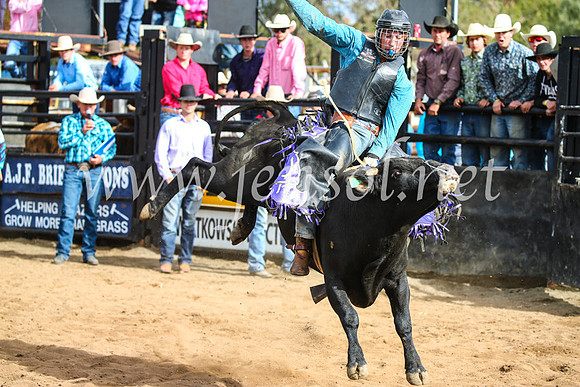 CoonambleRodeoCampdraftSun_2790