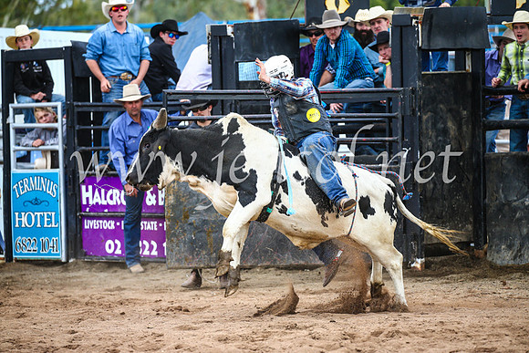 CoonambleRodeoCampdraftSun_3014