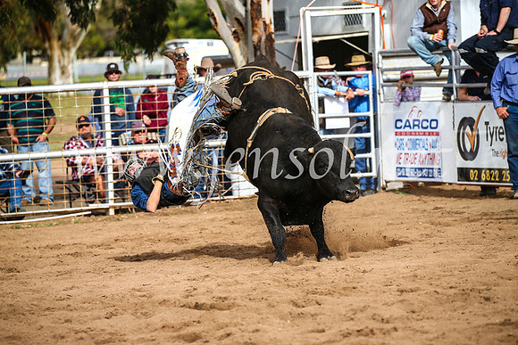 CoonambleRodeoCampdraftSun_2821