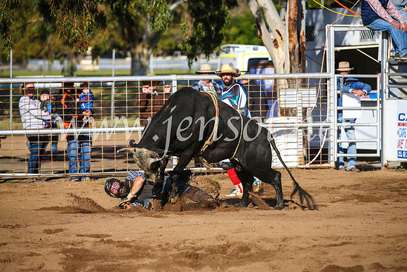 CoonambleRodeoCampdraftSun_2039