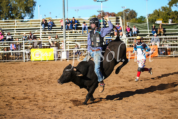 CoonambleRodeoCampdraftSun_1861