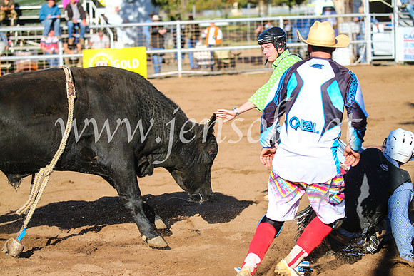 CoonambleRodeoCampdraftSun_2188