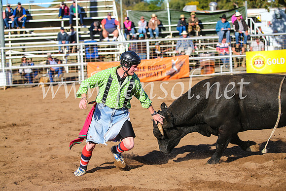 CoonambleRodeoCampdraftSun_2200