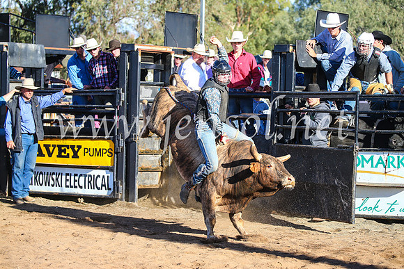 CoonambleRodeoCampdraftSun_2124