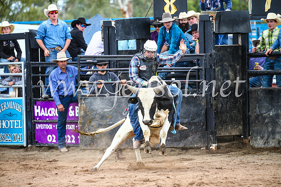 CoonambleRodeoCampdraftSun_2996