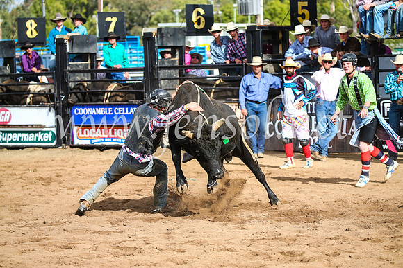 CoonambleRodeoCampdraftSun_2767