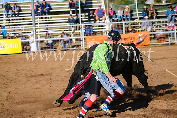 CoonambleRodeoCampdraftSun_2194