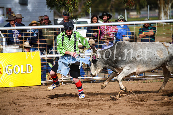 CoonambleRodeoCampdraftSun_2709