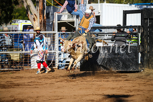 CoonambleRodeoCampdraftSun_2046