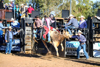 CoonambleRodeoCampdraftSun_1825