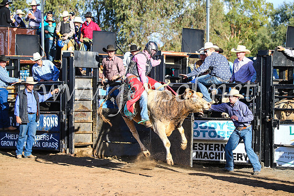 CoonambleRodeoCampdraftSun_1825