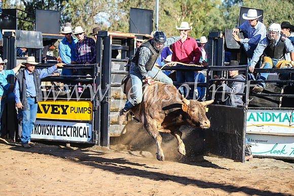 CoonambleRodeoCampdraftSun_2128