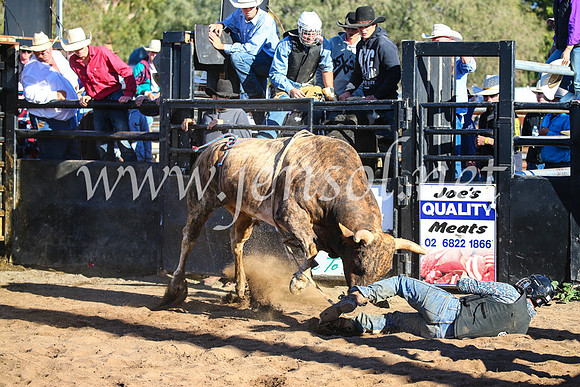 CoonambleRodeoCampdraftSun_2134