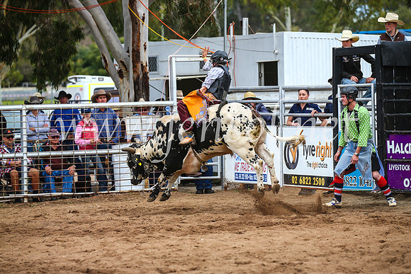 CoonambleRodeoCampdraftSun_2928
