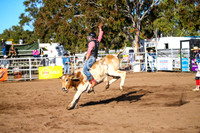 CoonambleRodeoCampdraftSun_1813