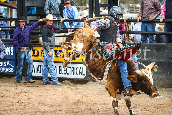 CoonambleRodeoCampdraftSun_2867