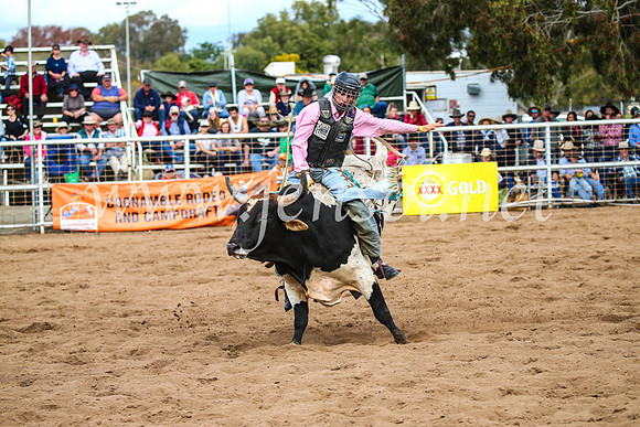 CoonambleRodeoCampdraftSun_2864