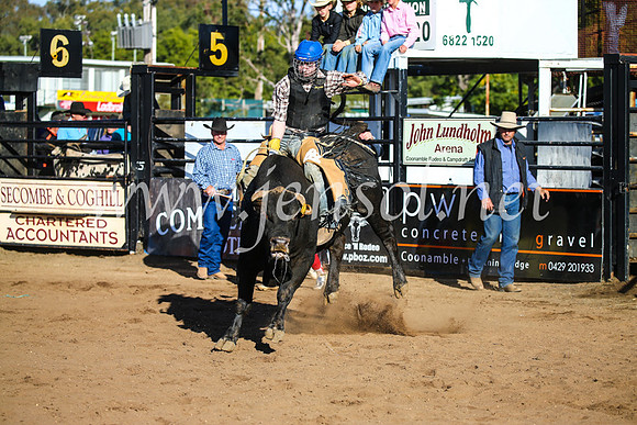 CoonambleRodeoCampdraftSun_2109