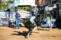 CoonambleRodeoCampdraftSun_1837