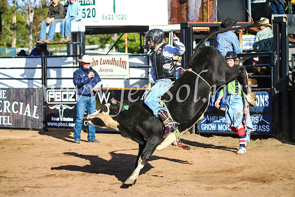 CoonambleRodeoCampdraftSun_1837