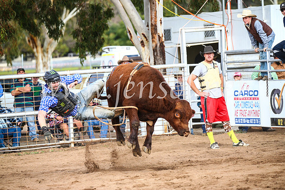 CoonambleRodeoCampdraftSun_2673
