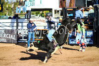 CoonambleRodeoCampdraftSun_1833