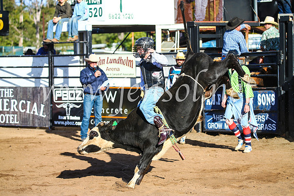 CoonambleRodeoCampdraftSun_1833