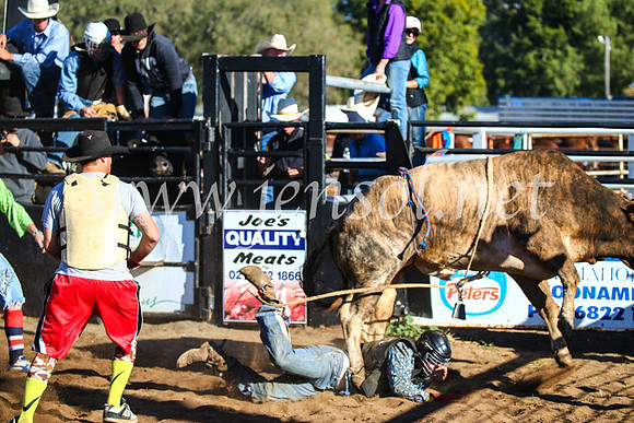 CoonambleRodeoCampdraftSun_2145