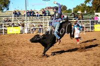 CoonambleRodeoCampdraftSun_1864