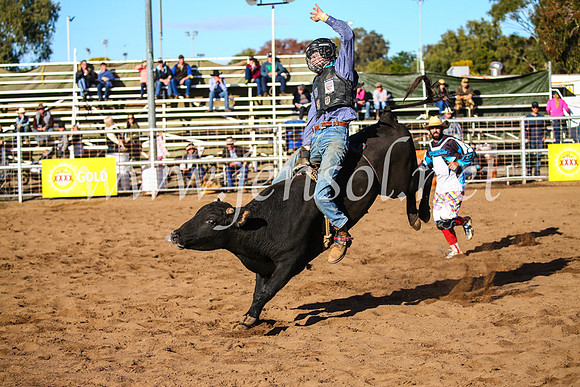 CoonambleRodeoCampdraftSun_1864